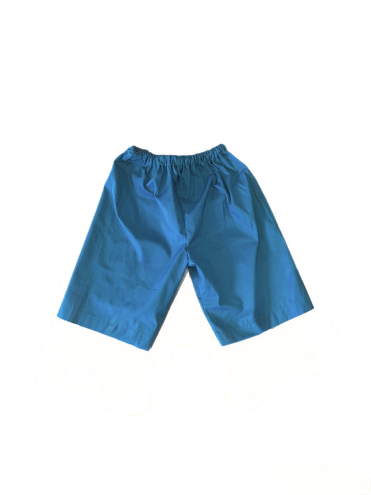 Climber Shorts (Teal/Red & Amber)